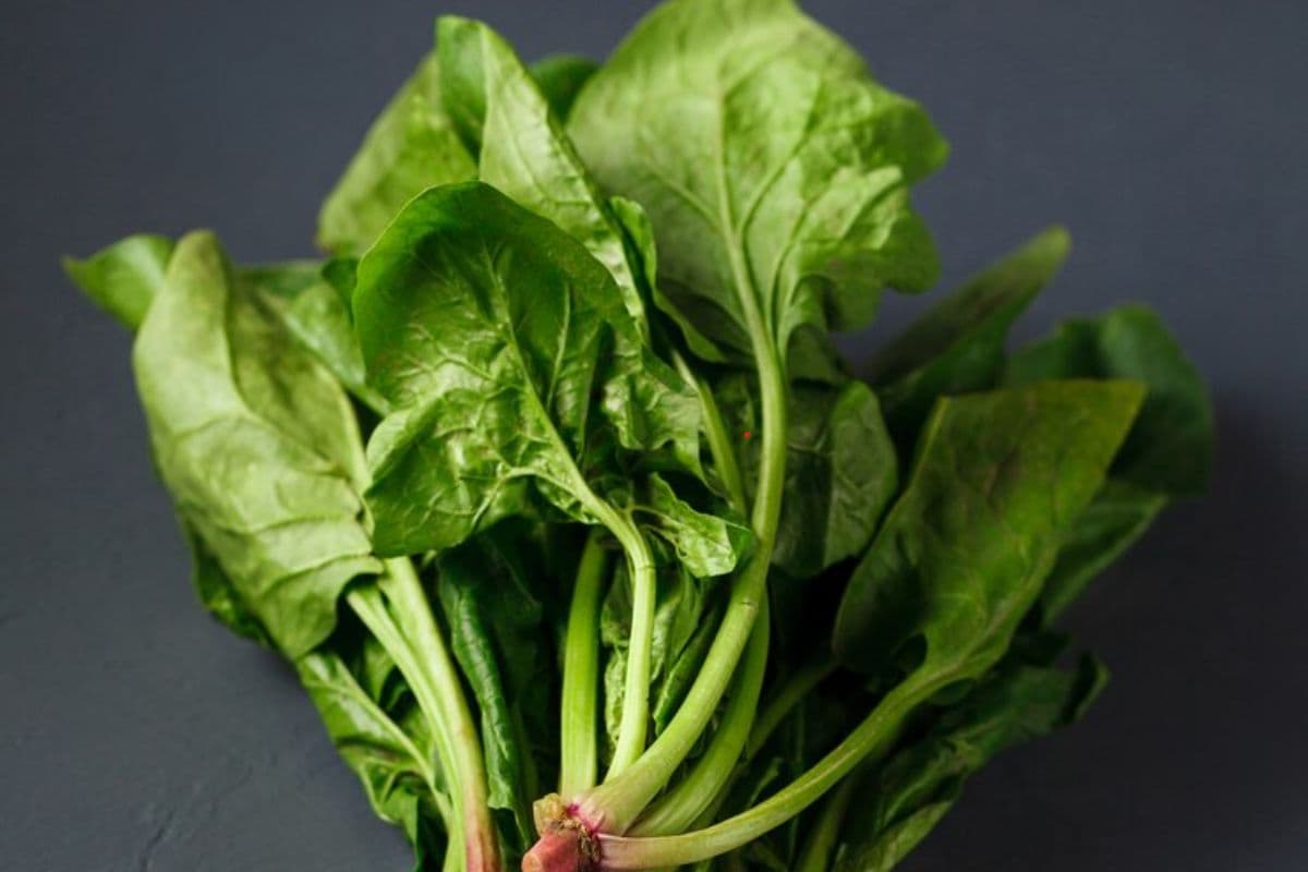 Saag for Diabetic Patients