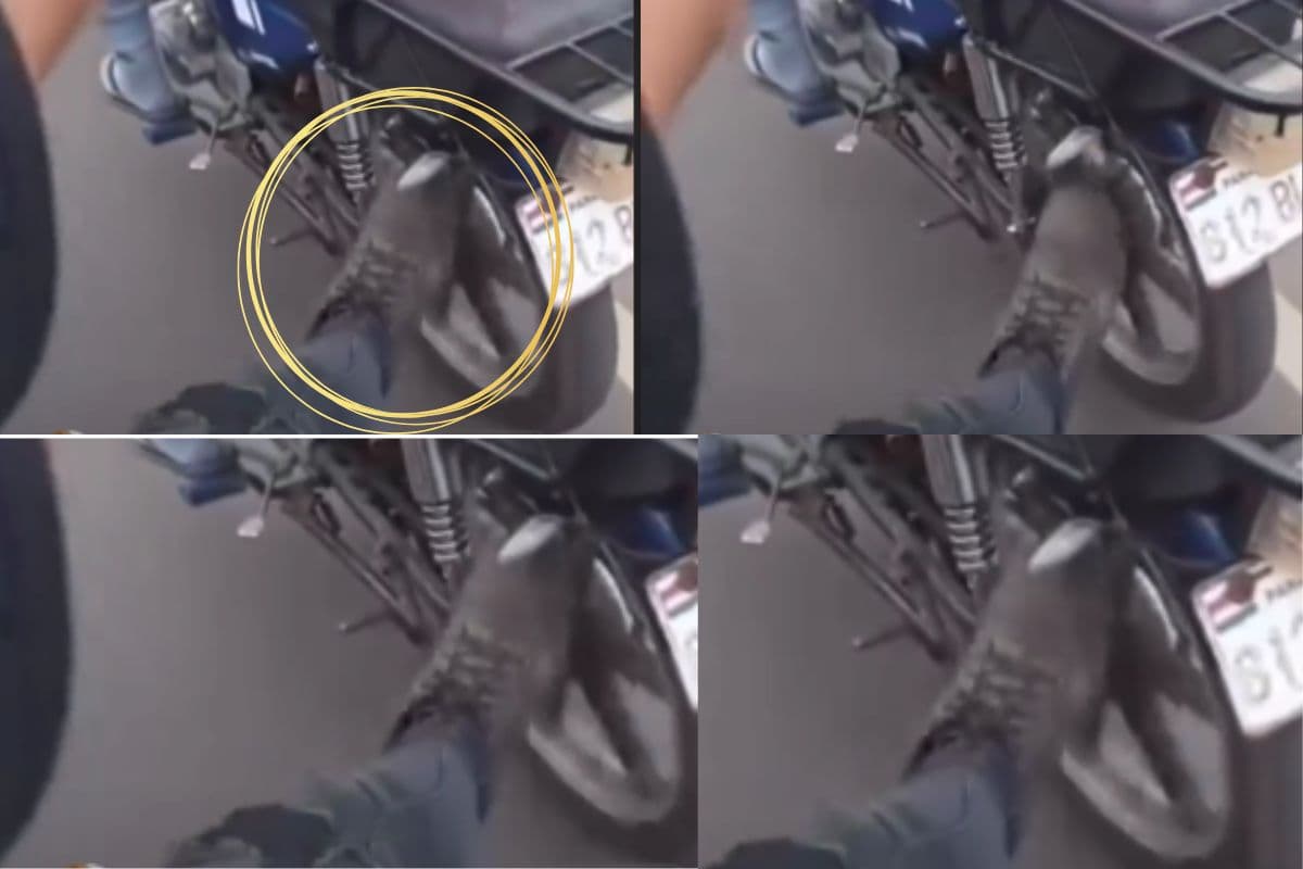 Viral Video: लड़की को परेशान करने चला था युवक, मिली ऐसी सजा कि देखकर रूह कांप जाएगी