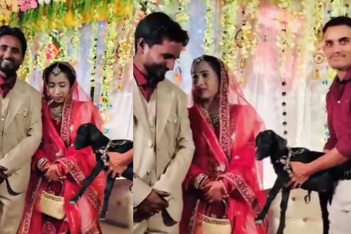 Viral Video: दूल्हे के दोस्त ने दुल्हन को अनोखा गिफ्ट, वीडियो देख नहीं रुकेगी हंसी