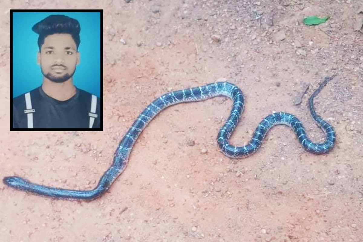 शादी के दो सप्ताह बाद जहरीले सांप के काटने से तेंतुलटांड़ के युवक की मौत