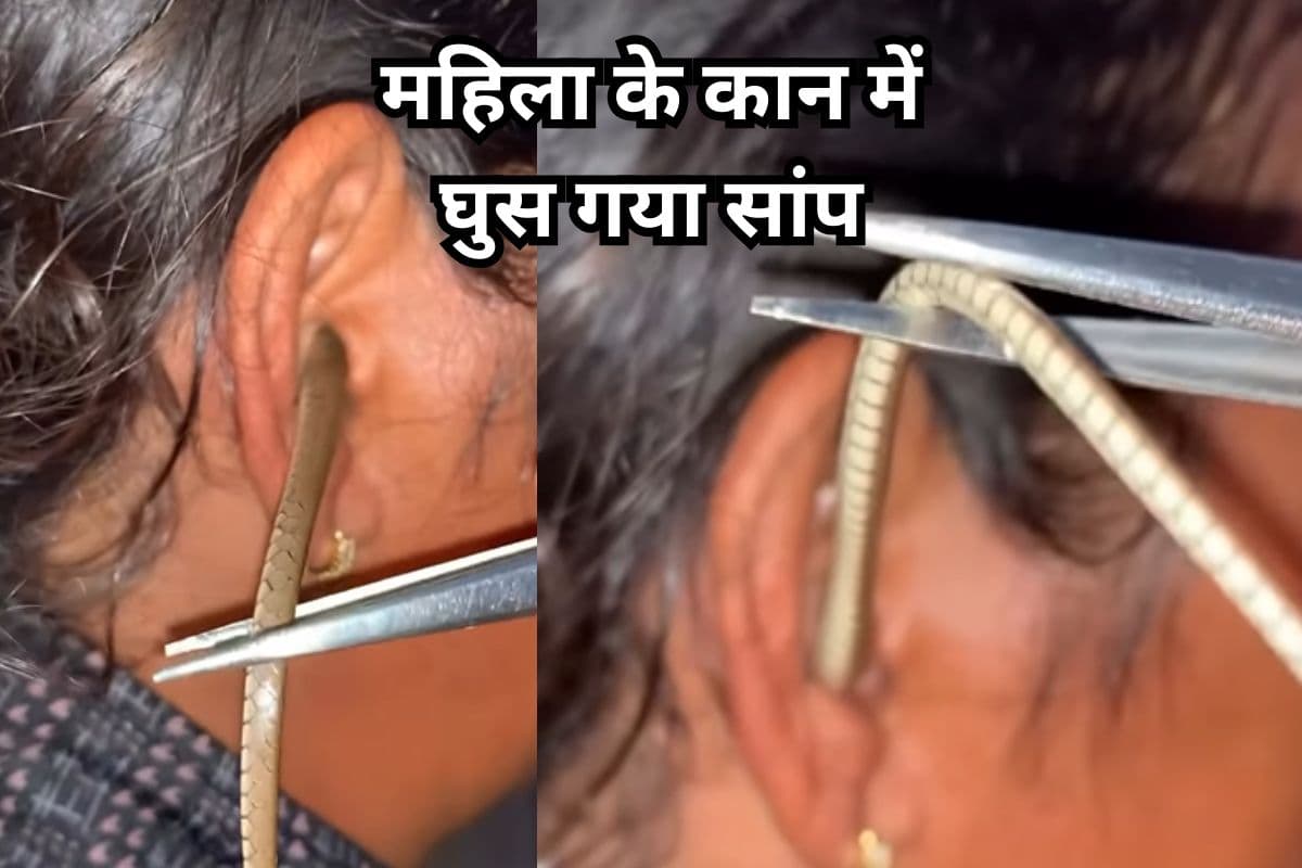 Viral Video: महिला के कान में घुस गया सांप, वीडियो देख खड़े हो जाएंगे रोंगटे