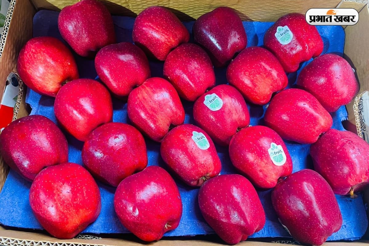 Turkey Apple Ban: तुर्की सेब बैन की मांग तेज, किसानों ने कहा – पाकिस्तान के साथ है तो हमारे बाजार में नहीं चलेगा