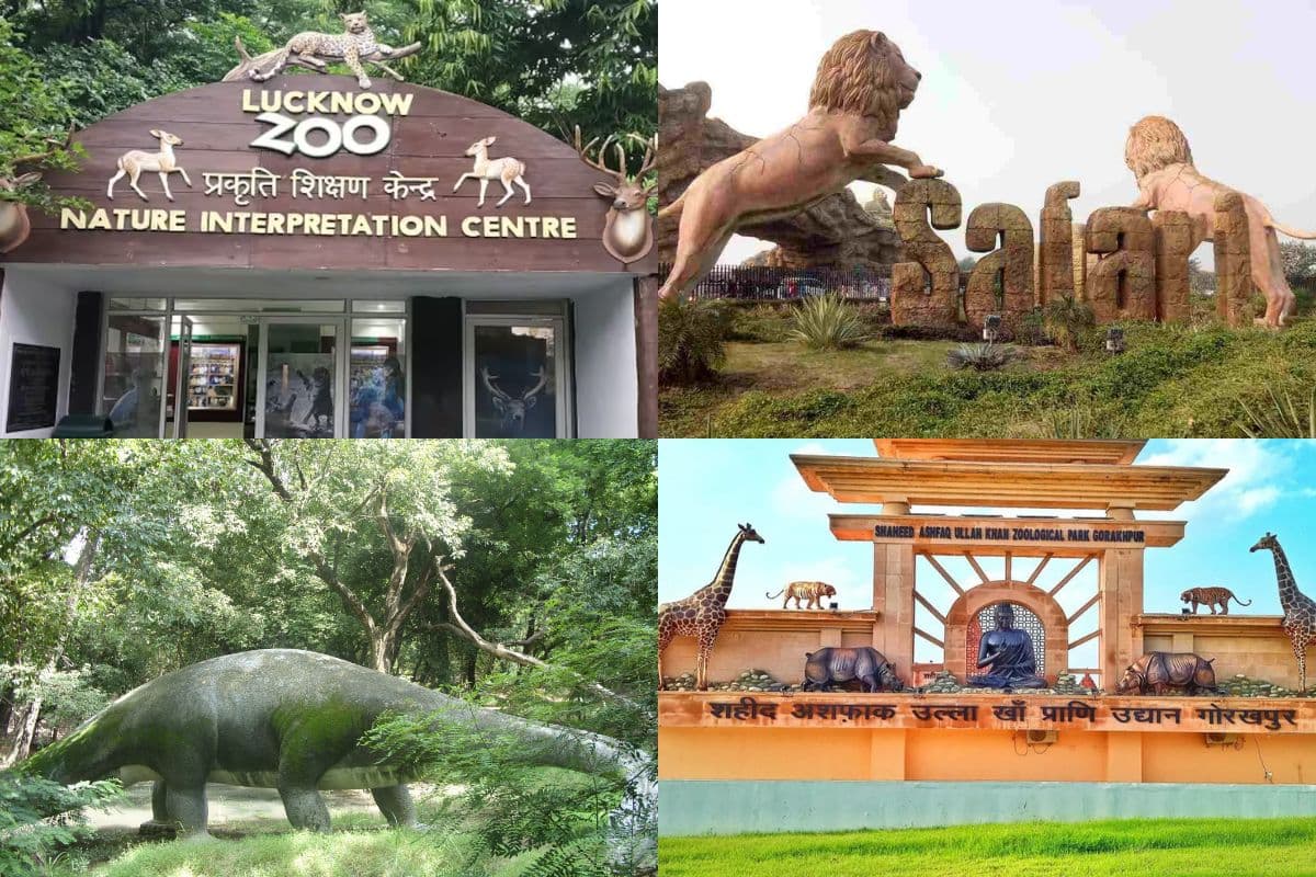 सैलानी नहीं कर पाएंगे चिड़िया घर और लॉयन सफारी का दीदार, सामने आई बड़ी वजह