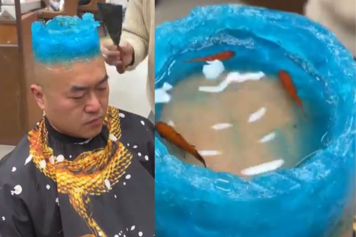 Viral Video: हे राम! शख्स ने बालों को बनाया मछलियों का घर, देख लोग रह गए हैरान