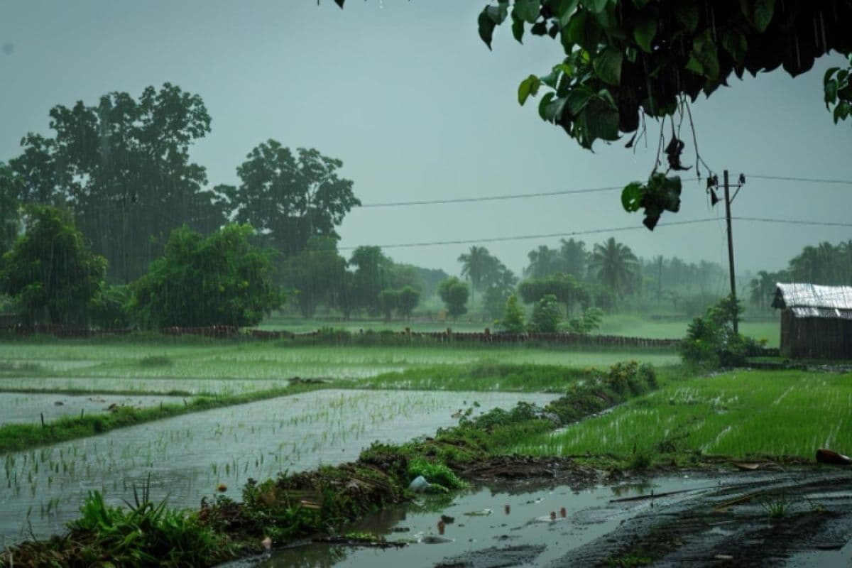 Bihar Weather Update: पटना समेत इन जिलों में छाए बादल, 50 KM प्रति घंटे की रफ्तार से चलेगी हवा, अलर्ट जारी 