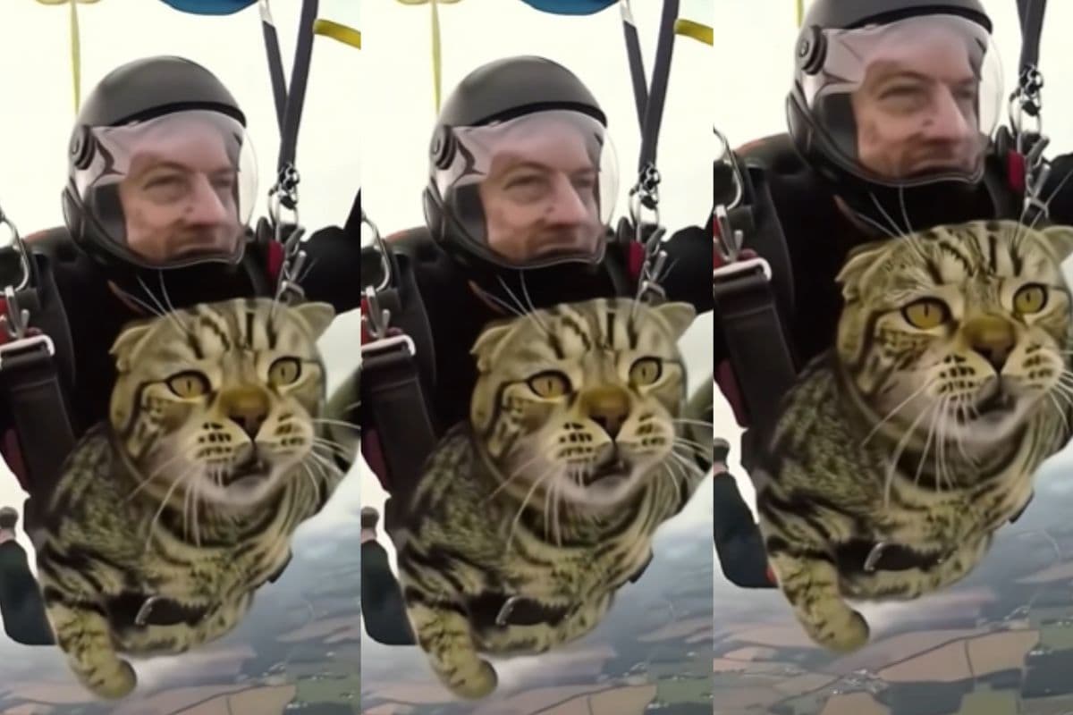 Viral Video: बिल्ली को स्काई डाइविंग करवाने पहुंचा मालिक, वीडियो देखकर हो जाएंगे हैरान