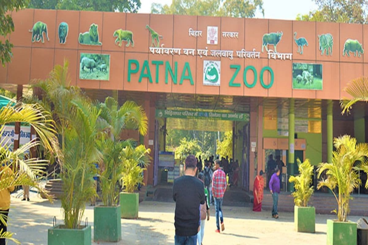 Patna Zoo: चिड़ियाघर में बाघ-शेर ले रहे कूलर की ठंडी हवा का मजा, चिम्पांजी पी रहे डाभ, जानवरों के लिए गजब इंतजाम