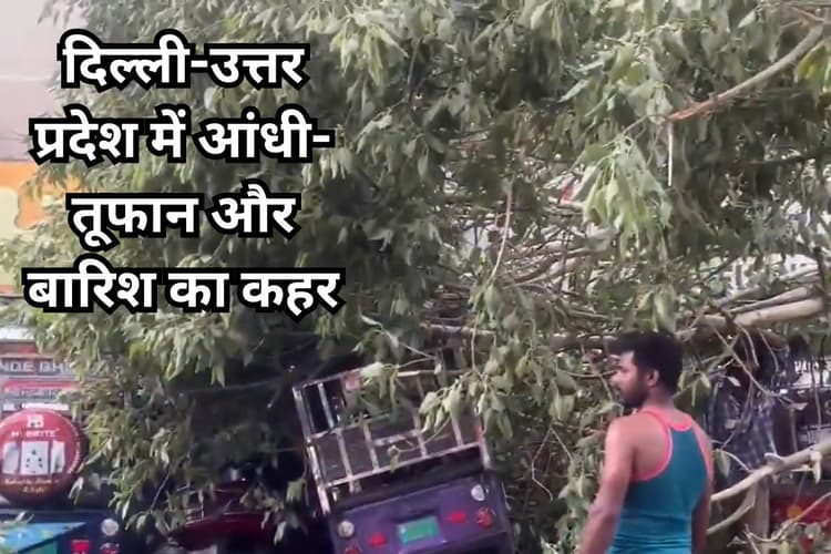 Heavy Rain: दिल्ली-उत्तर प्रदेश में आंधी-तूफान और बारिश का कहर, कई पेड़ उखड़े