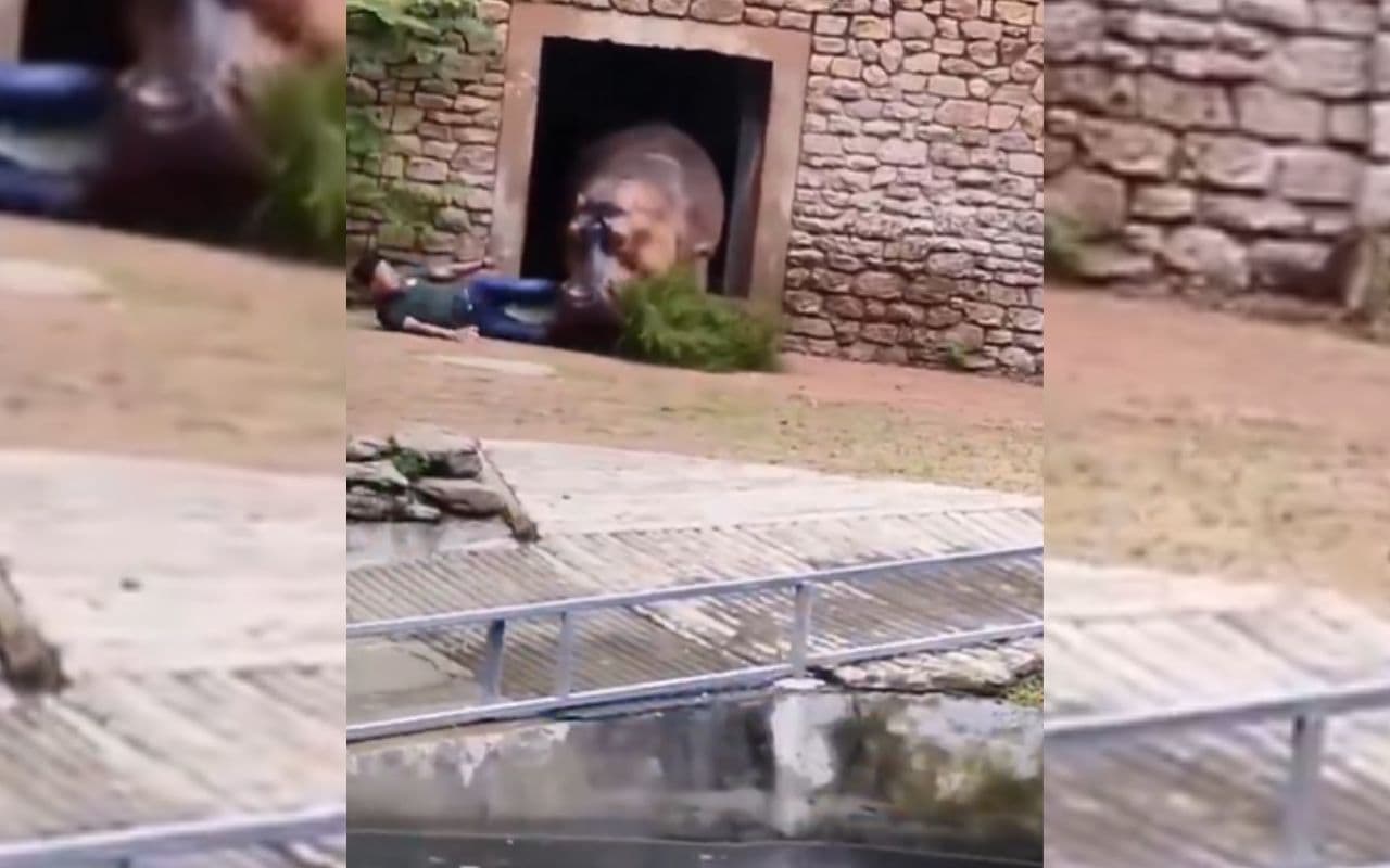 Viral Video: दरवाजे के अंदर खड़ा था 'यमराज', देखते ही सिर पर पैर रखकर भागा युवक, वायरल हो रहा वीडियो