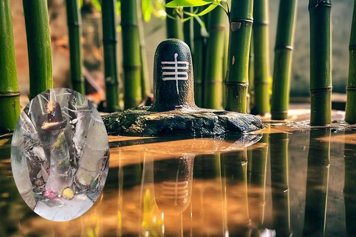 Viral Video: बांस में निकले भगवान, ग्रामीणों ने की मंदिर बनाने की मांग, देखें वीडियो