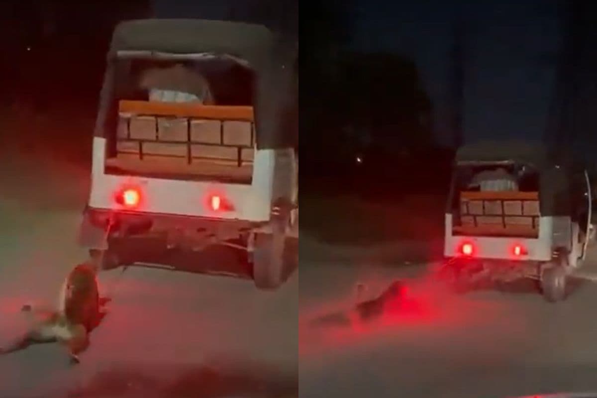 Viral Video: क्रूरता की सारी हदें पार! ड्राइवर ने ऑटो में बांधकर कुत्ते को घसीटा, देखें वीडियो