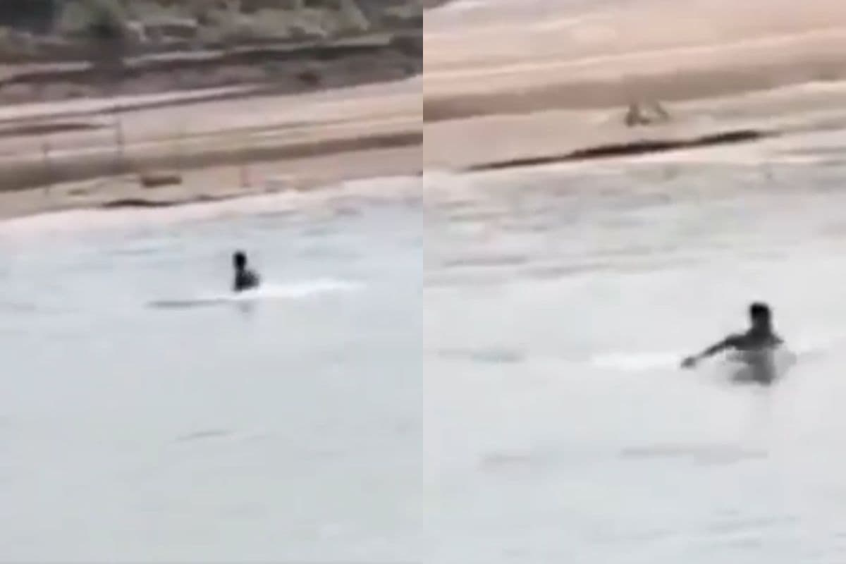 Viral Video: पैर चबा गया मगरमच्छ, हाथ फाड़ा… फिर भी नहीं डरा युवक, देखें वीडियो