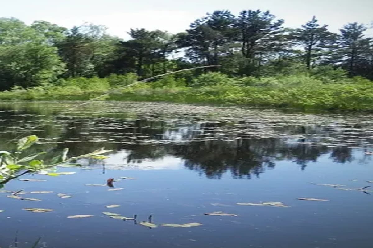 Bihar News: जल-जीवन-हरियाली अभियान का दिखा रंग, इन जिलों को जल संकट से मिली मुक्ति