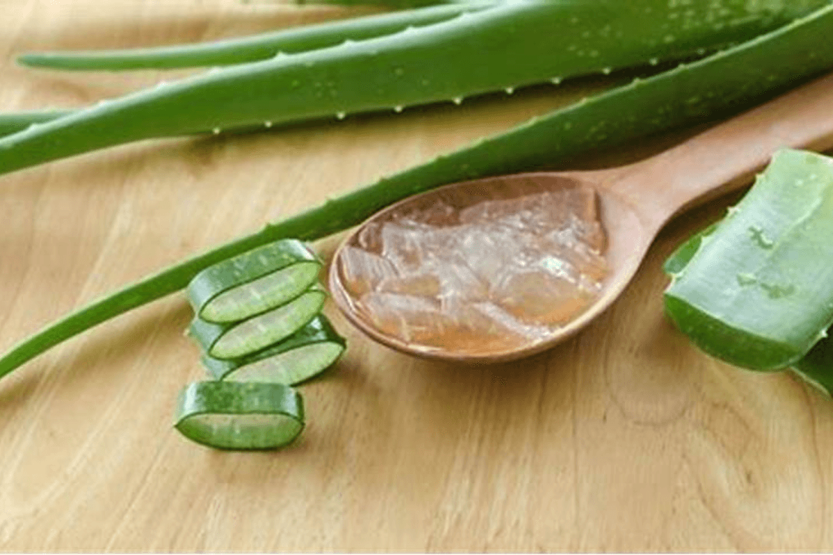 Aloe vera Gel Benefits In Summer