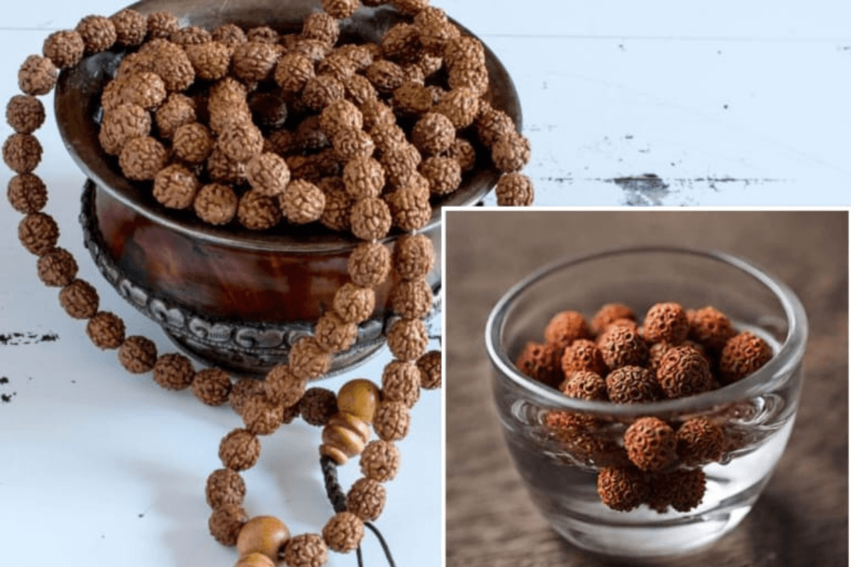 Drinking Rudraksha Water Drinking Rudraksha Water