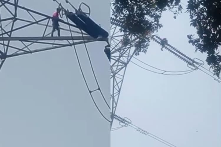 Viral Video: पश्चिमी अफ्रीका के नाइजर में उत्तम कुमार अपहृत, भाई का हाईटेंशन टावर पर चढ़कर हाईवोल्टेज ड्रामा