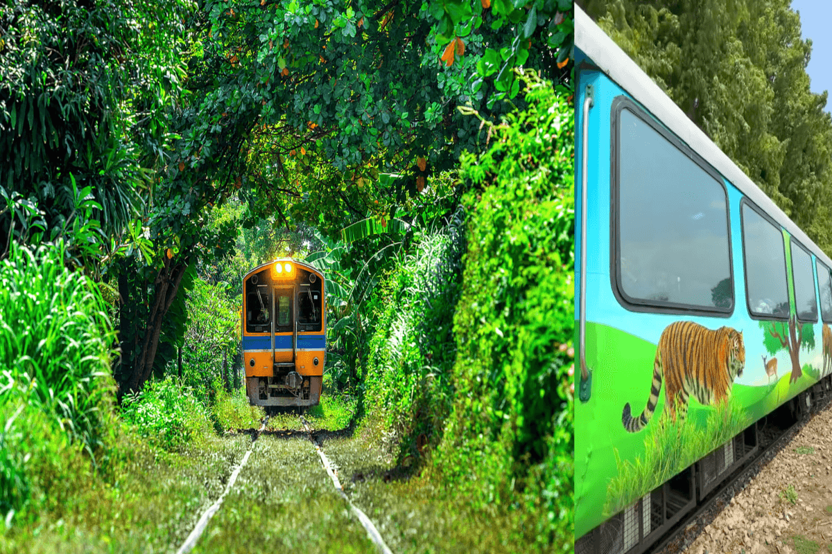 इस गर्मी बच्चों को दिलाएं असली जंगल बुक का एहसास सैर कीजिए यूपी की जंगल सफारी ट्रेन से!
