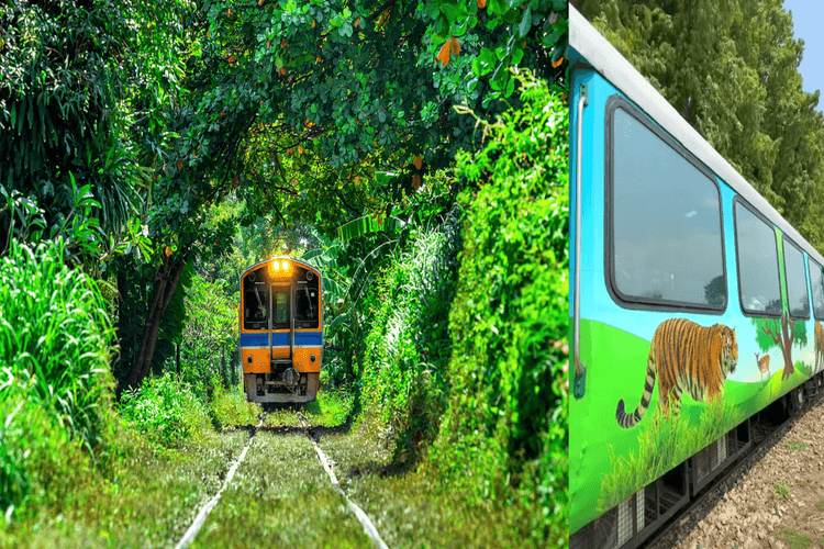 इस गर्मी बच्चों को दिलाएं असली जंगल बुक का एहसास सैर कीजिए यूपी की जंगल सफारी ट्रेन से!