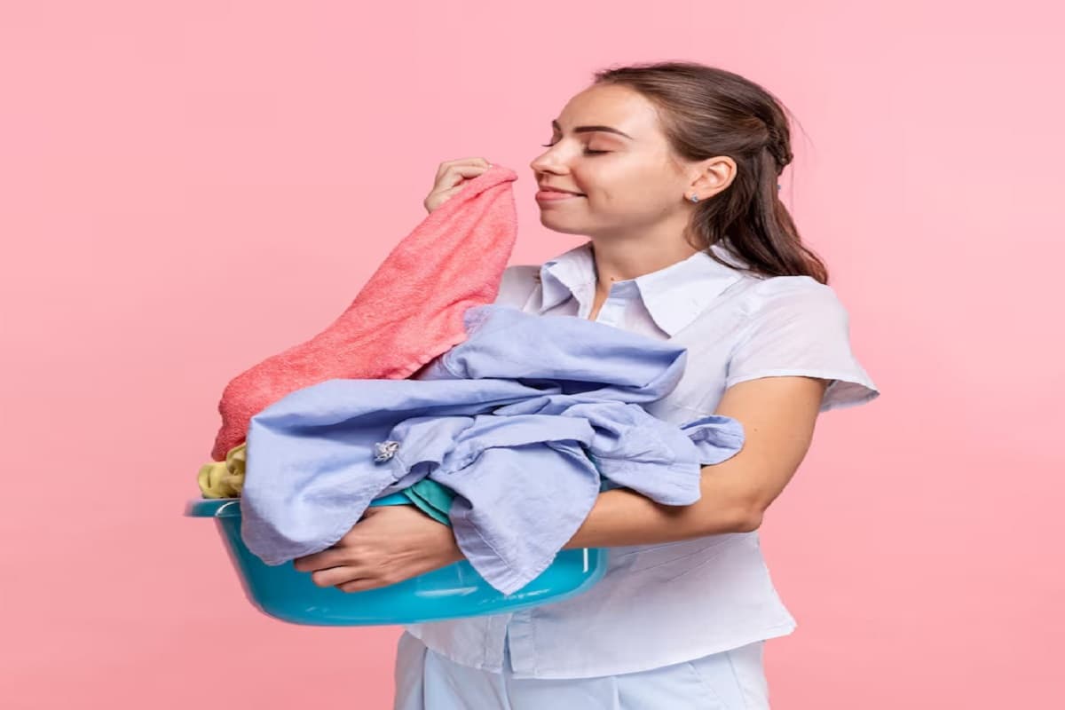 dry clean dry clean