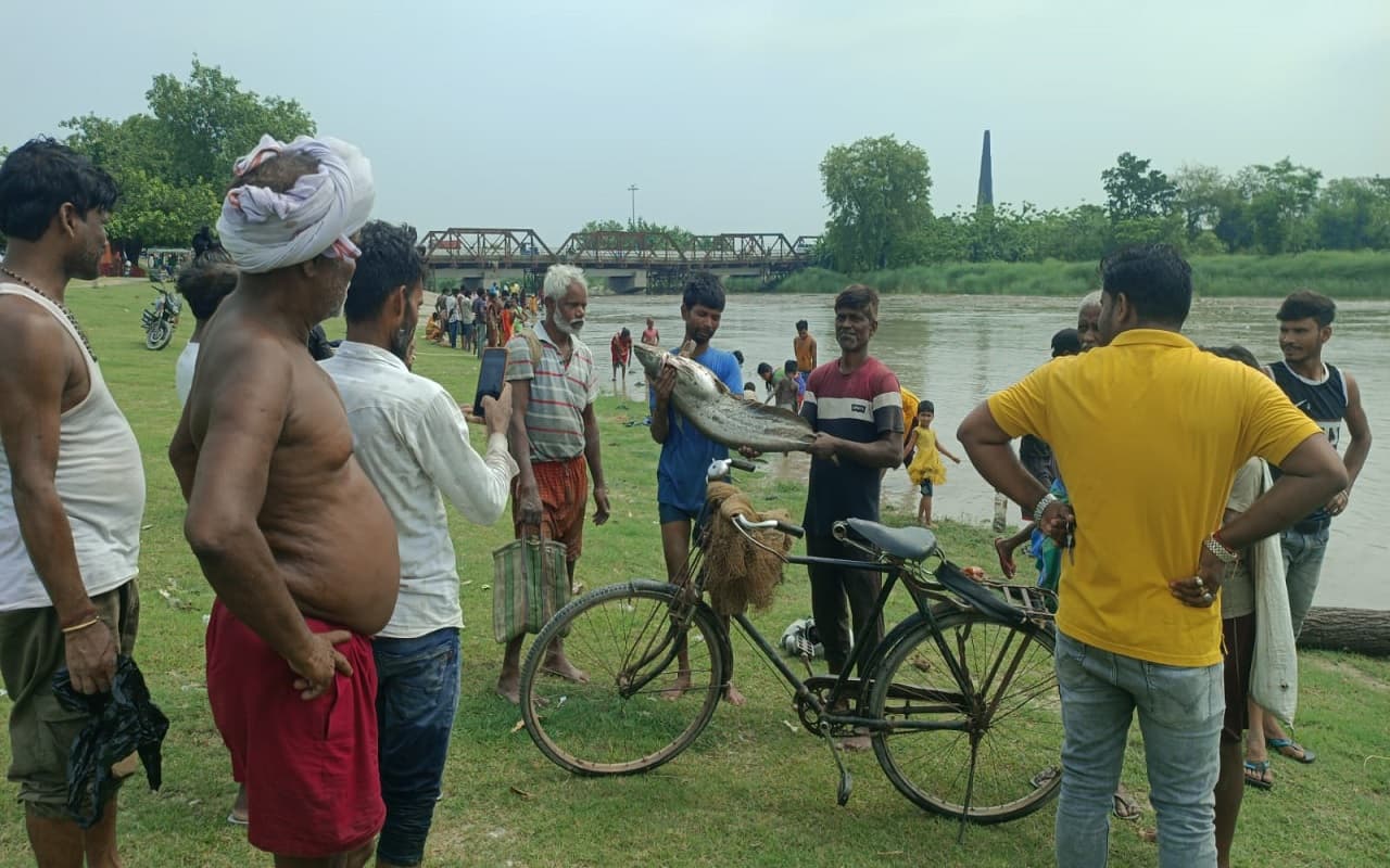 नेपाल की भारी बारिश का बिहार में दिख रहा असर, परमान नदी के बढ़े पानी में मछली पकड़ने की लगी होड़
