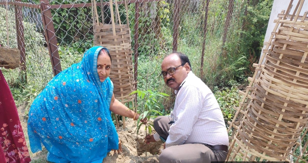 Madhubani News : पर्यावरण की सुरक्षा के लिए किया पौधारोपण