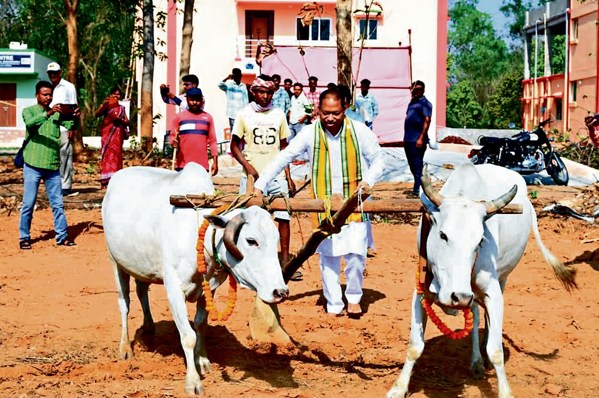 Sundargarh News: हमारे किसान आगे बढ़ेंगे, तो देश विकसित बनेगा : भवानी शंकर भोई