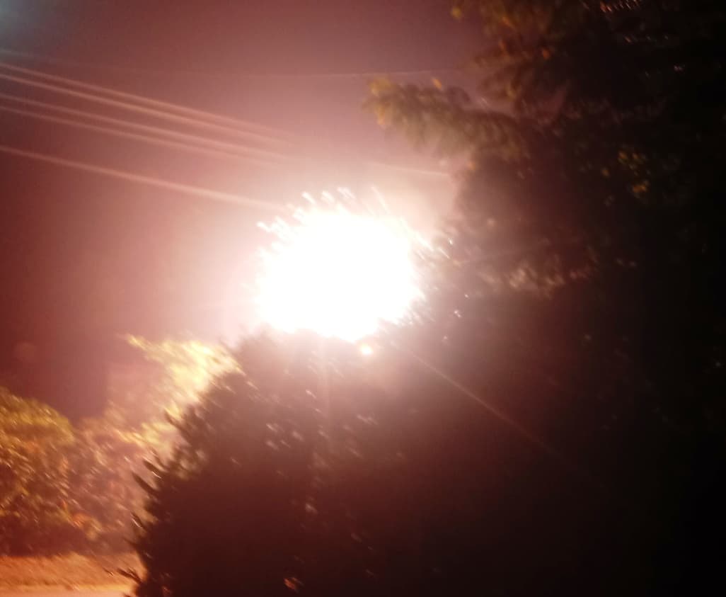 Bokaro News : सेक्शन बोर्ड में गिलहरी के घुसने से केबल जला, नौ घंटे रही बिजली गुल