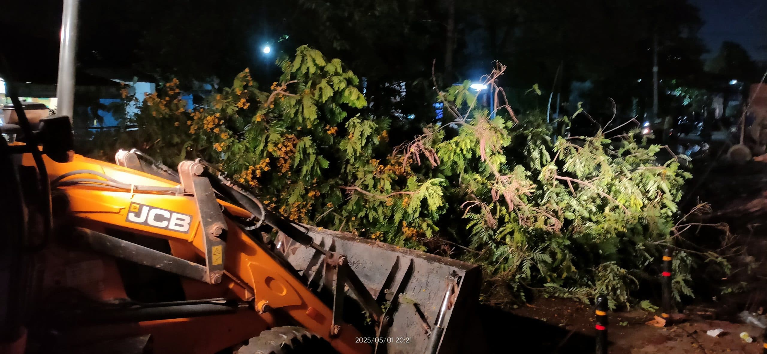 Rourkela News: ओला के साथ हुई झमाझम बारिश, कई स्थानों पर पेड़ उखड़े, डालियां टूटीं