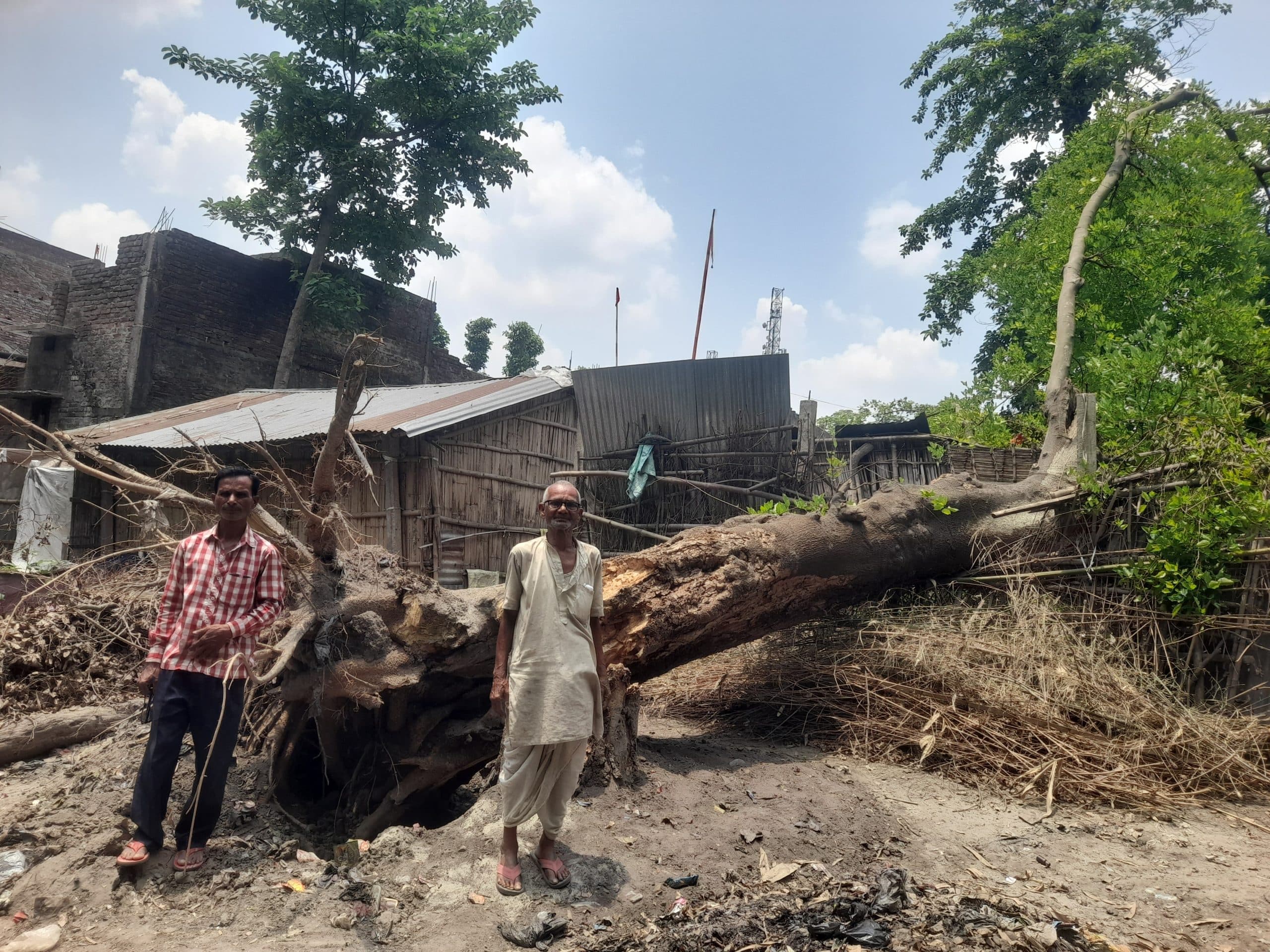 जदिया में घर पर गिरा पेड़, परिवार के लोग सुरक्षित