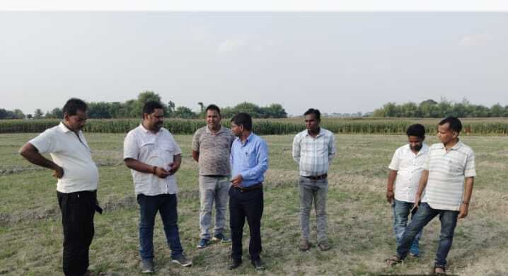 स्वीट कॉर्न मक्के पौधे का लिया जायजा