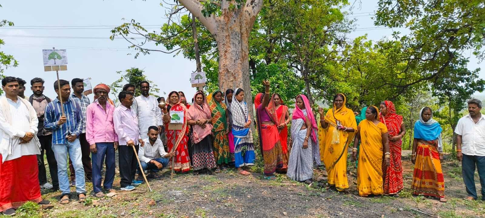 Bokaro News : कोयला खनन के लिए सीसीएल प्रबंधन ने 6500 पेड़ों में से 1500 काटे