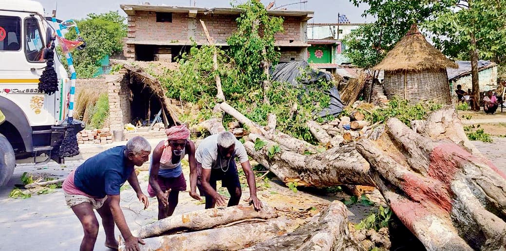 Saran News : सड़क मार्ग पर गिरा पीपल का पेड़, 12 घंटे तक जाम में फसे रहे वाहन