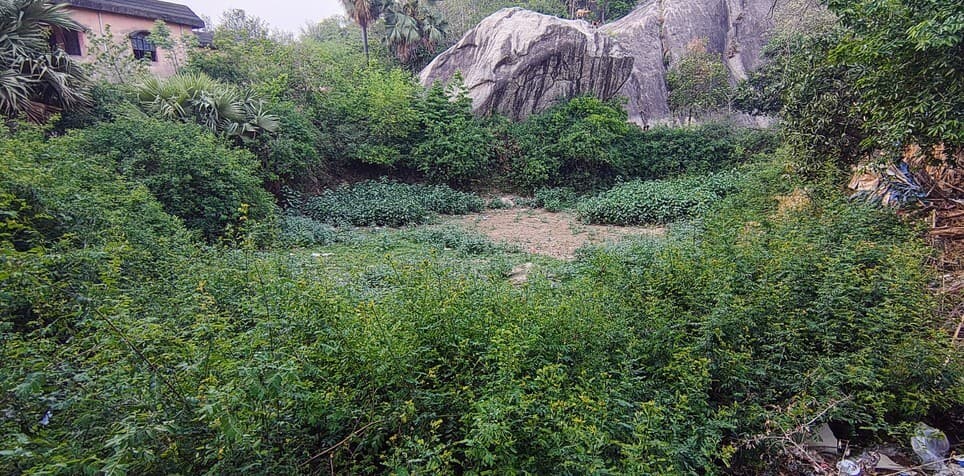 योगिनी स्थान के पोखर का सूखा पानी