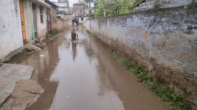 बेमौसम बारिश से फसलों को हो रहा नुकसान