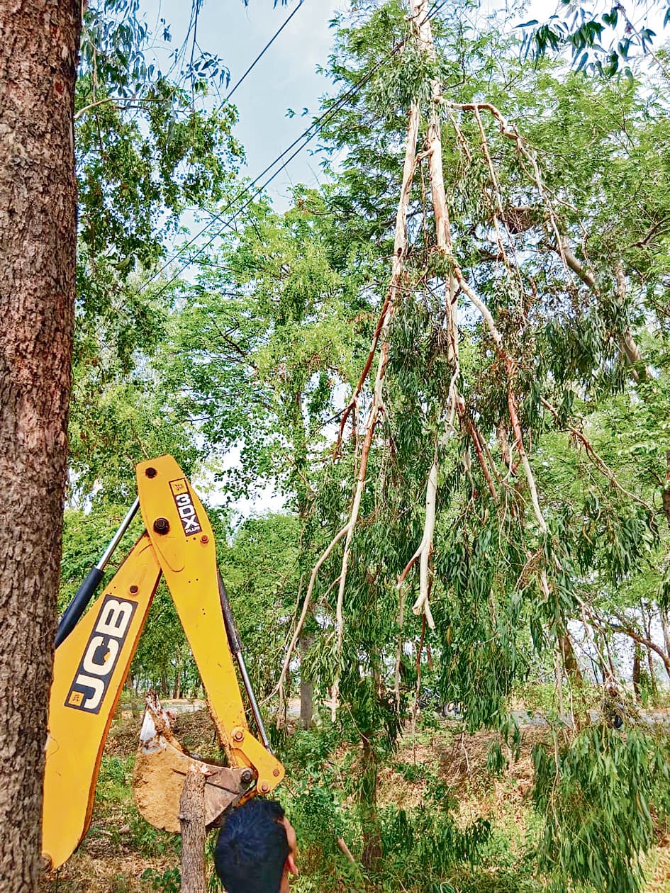 Buxar News : बक्सर में हुई 35 एमएम बारिश, आंधी में कई जगह गिरे पेड़