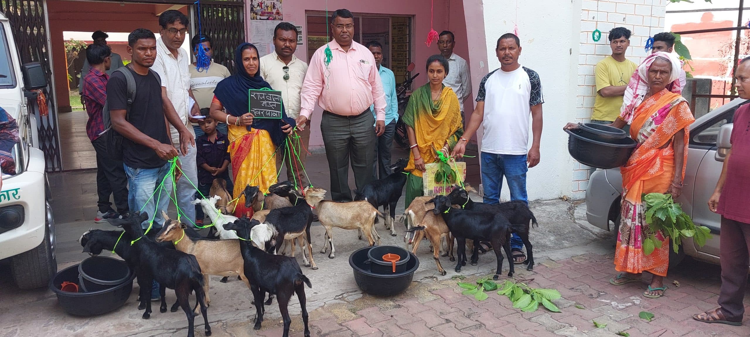 Seraikela News : पशुपालन से बढ़ेगी आमदनी : प्रमुख