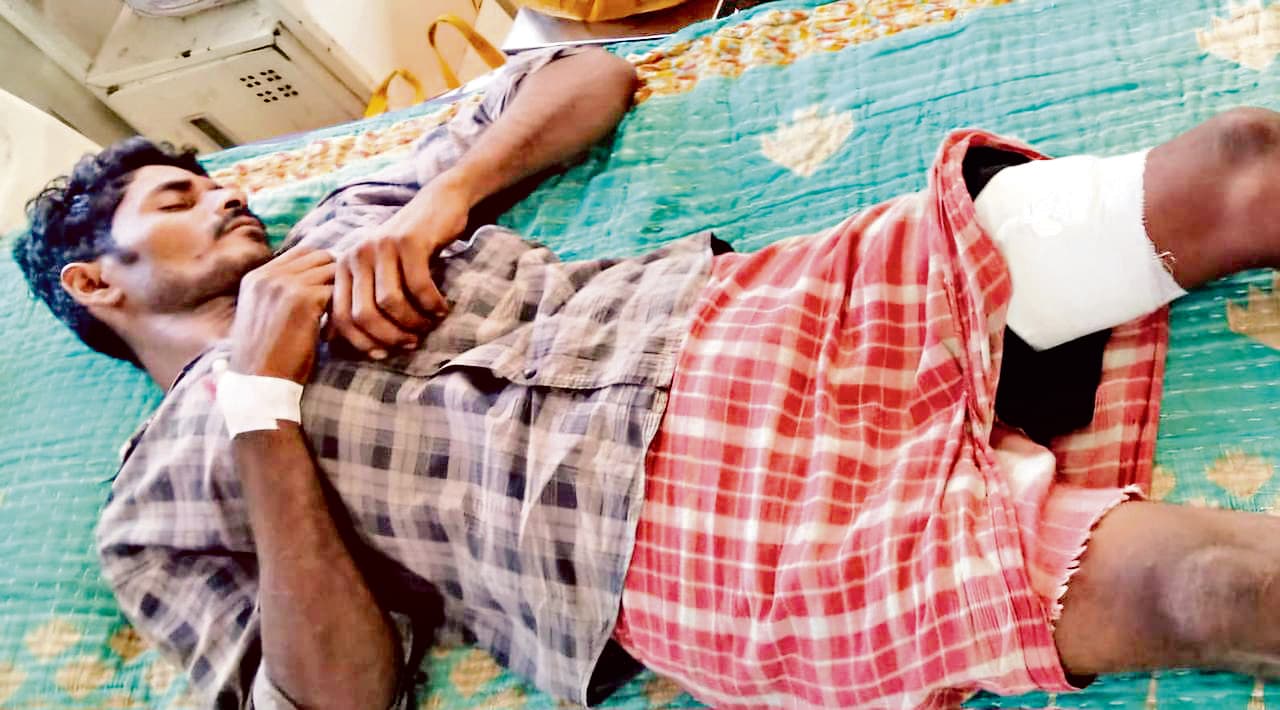 East Singhbhum News: खेत में सब्जियां बचाने गये किसान को हाथी ने पटका