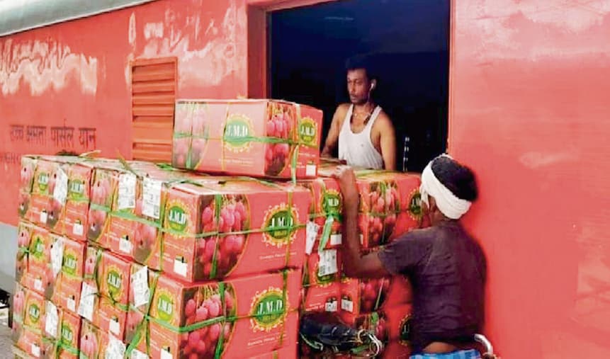 Saran News : पवन एक्सप्रेस सहित छह मेल एक्सप्रेस ट्रेनों से देशभर में जायेगी बिहार की रसीली लीची