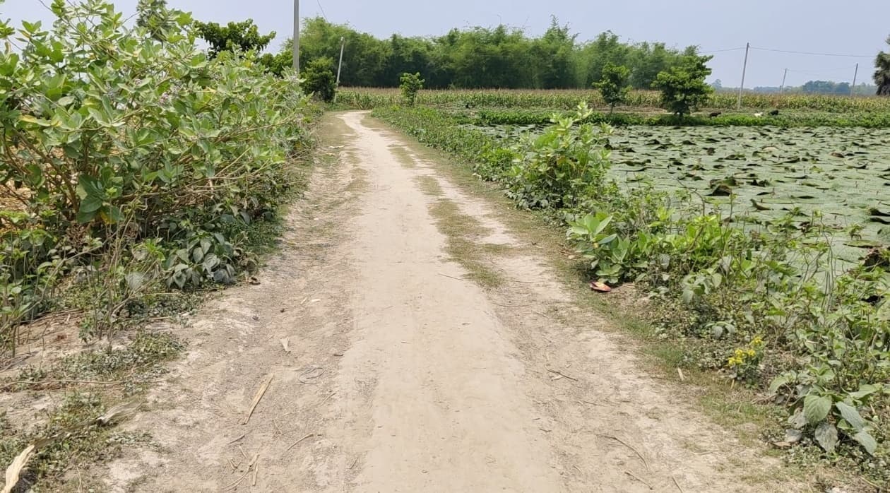 प्रभात इंपैक्ट, कबैया से तिनगछिया सड़क 2.54 करोड़ से बनेगी