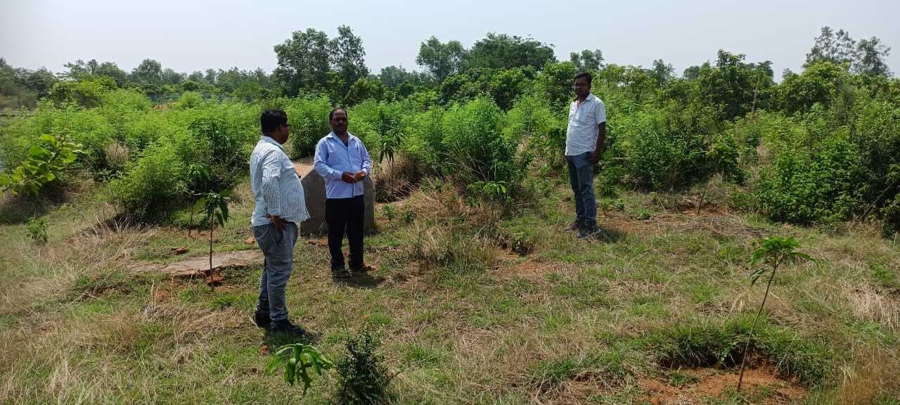 एइ व जेइ ने मनरेगा की योजनाओं का लिया जायजा