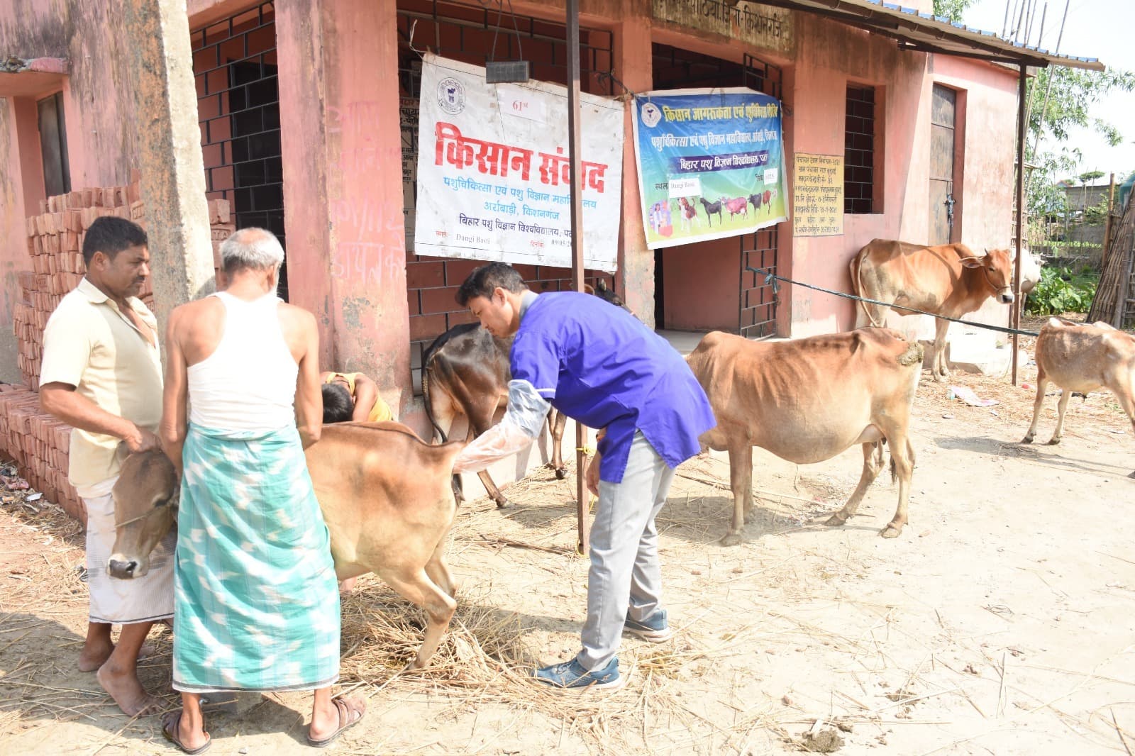 शिविर में 96 पशु पालकों ने उठाया लाभ