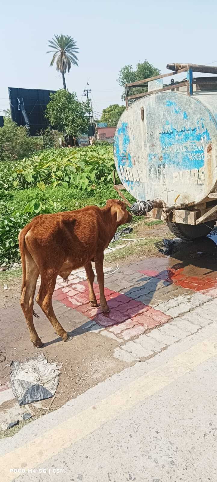 Darbhanga News: सुबह नौ बजे से ही आसमान से बरसने लगती आग, पारा 41 डिग्री के पार