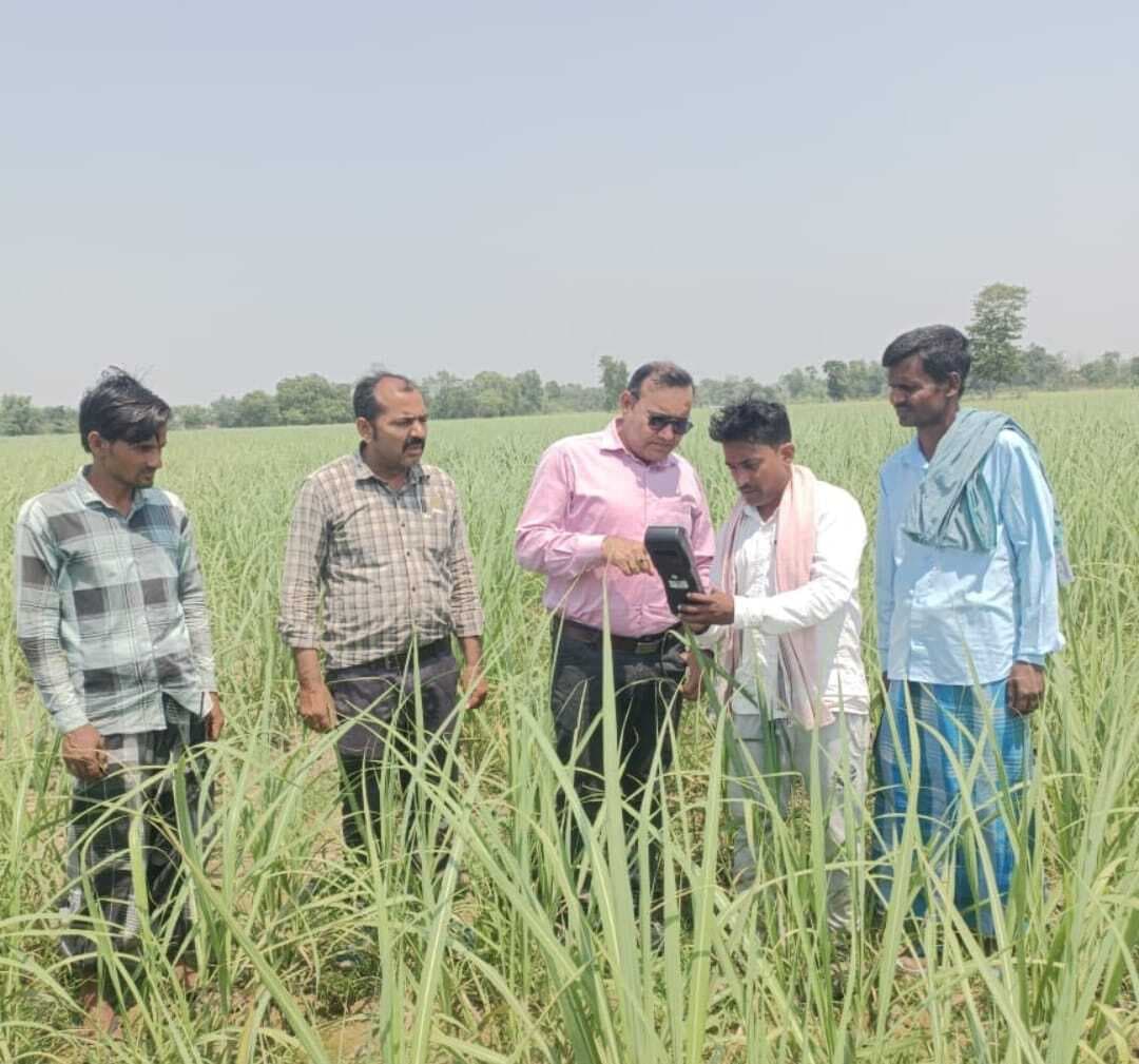 Bettiah : नरकटियागंज में एचएचटी मशीन लेकर गन्ने के खेत में उतरे चीनी मिल के अधिकारी