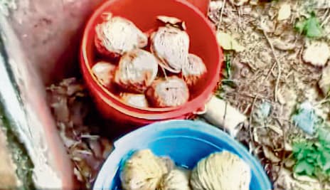 बीरभूम : परित्यक्त मकान में 60 बम मिलने से हड़कंप