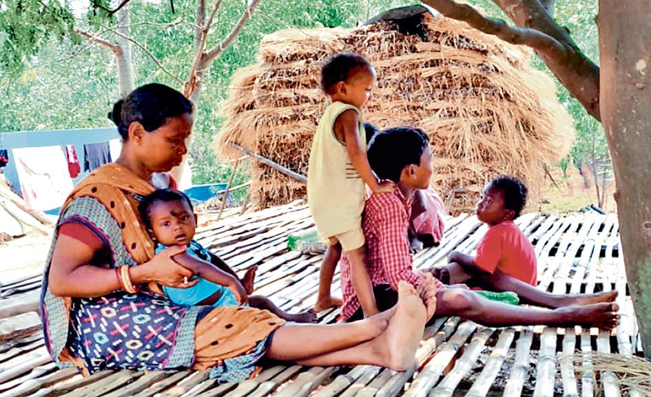 गर्मी से बचने के लिए जंगलमहल के आदिवासी पेड़ के नीचे ले रहे आश्रय