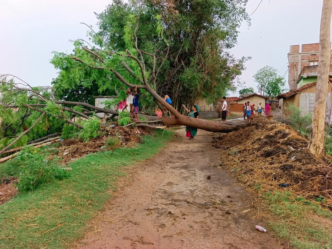 तेज आंधी-बारिश में पेड़ उखाड़े, दर्जनों बिजली पोल क्षतिग्रस्त