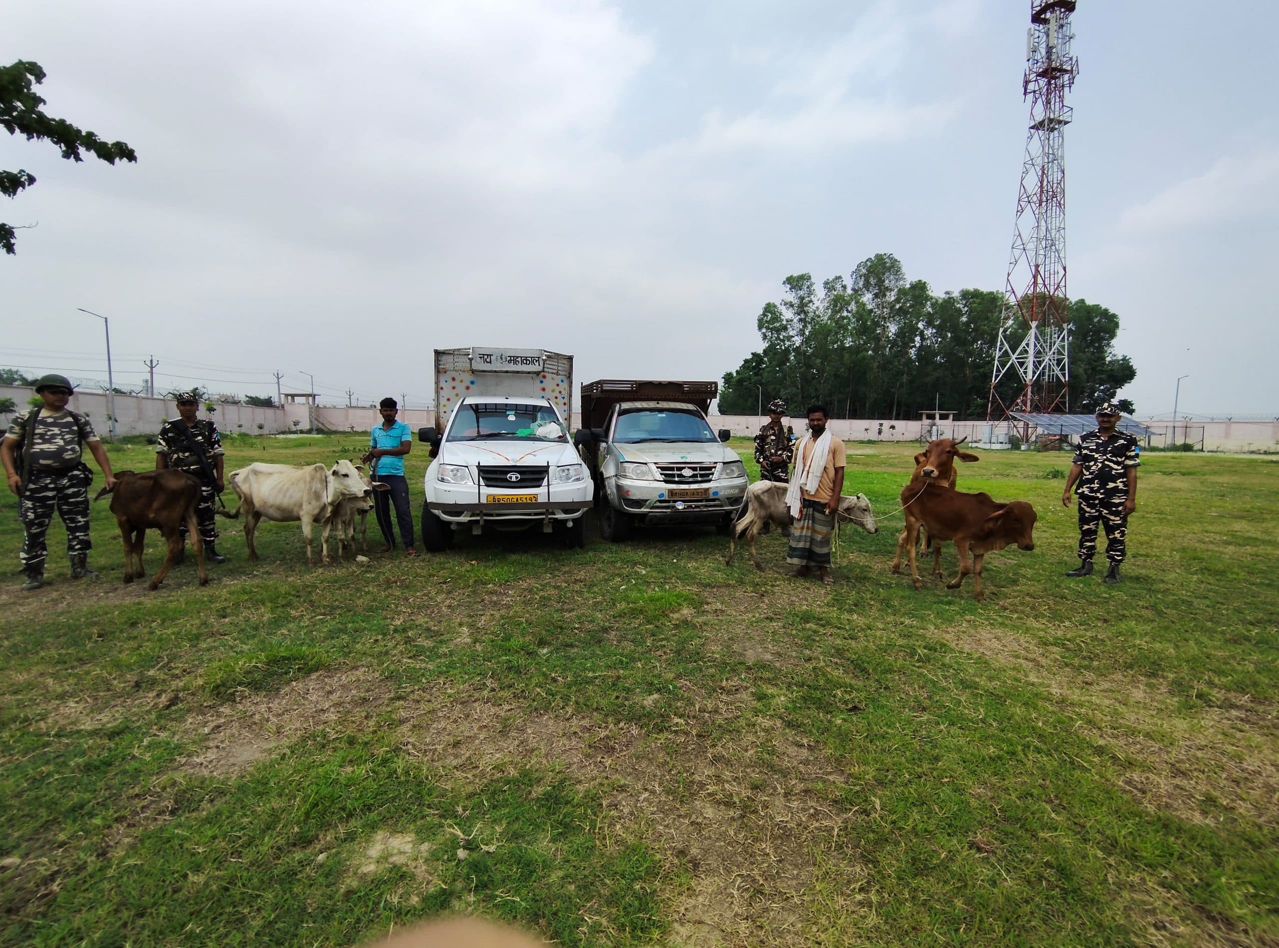 सीमा पार मवेशी तस्करी की कोशिश नाकाम, दो गिरफ्तार