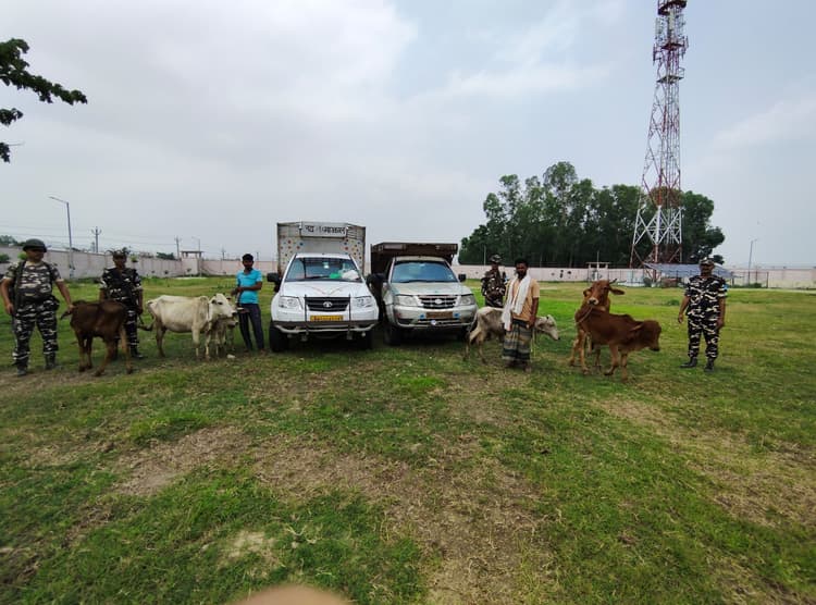 सीमा पार मवेशी तस्करी की कोशिश नाकाम, दो गिरफ्तार