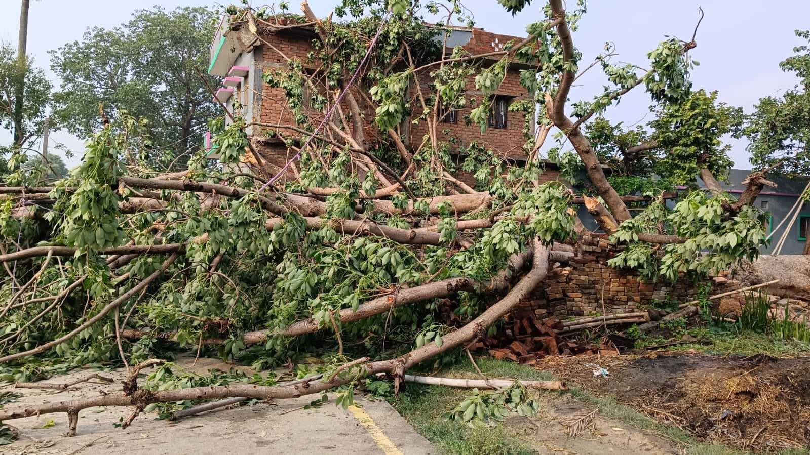 Motihari: जिले में आंधी-पानी में मचायी तबाही,किशोर सहित दो की गयी जान