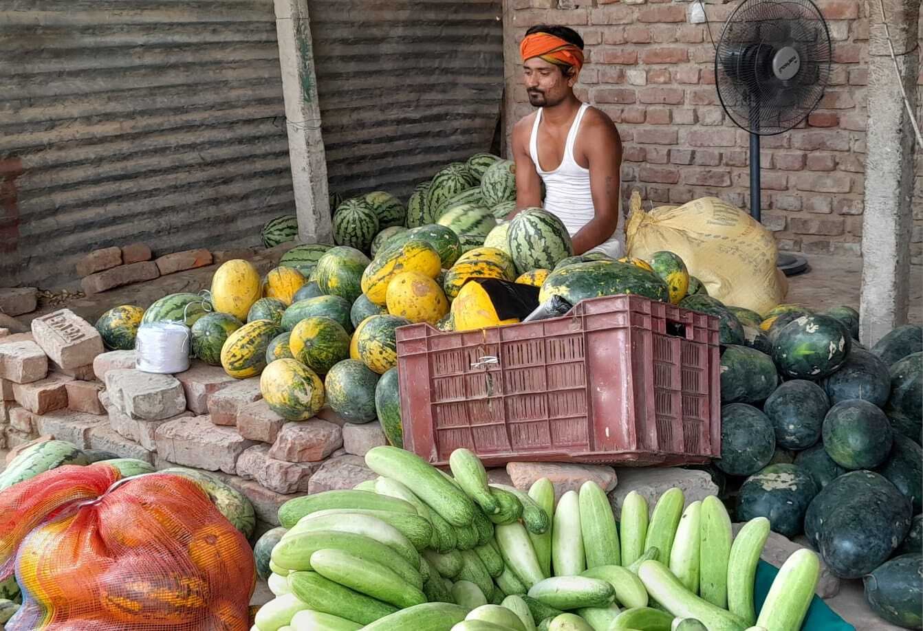 Madhubani News : गर्मी का मौसम आते ही बाजार में खूब बिक रहे तरबूज, नारियल पानी, खीरा व नींबू